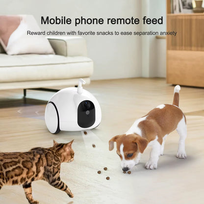 Pet Camera, Moving Pet Camera Robot with Phone App, Cat Toys with Camera, Pet Camera Treat Dispenser Robot, Dog Camera with Nigh